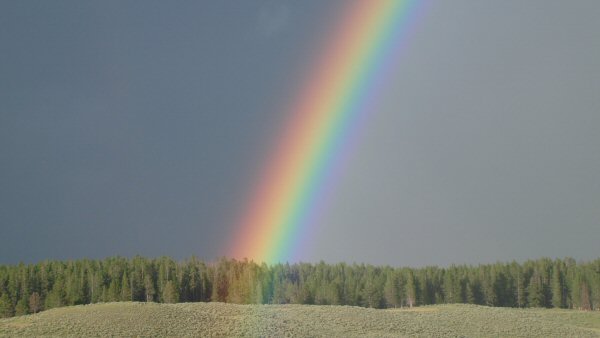 Rainbow